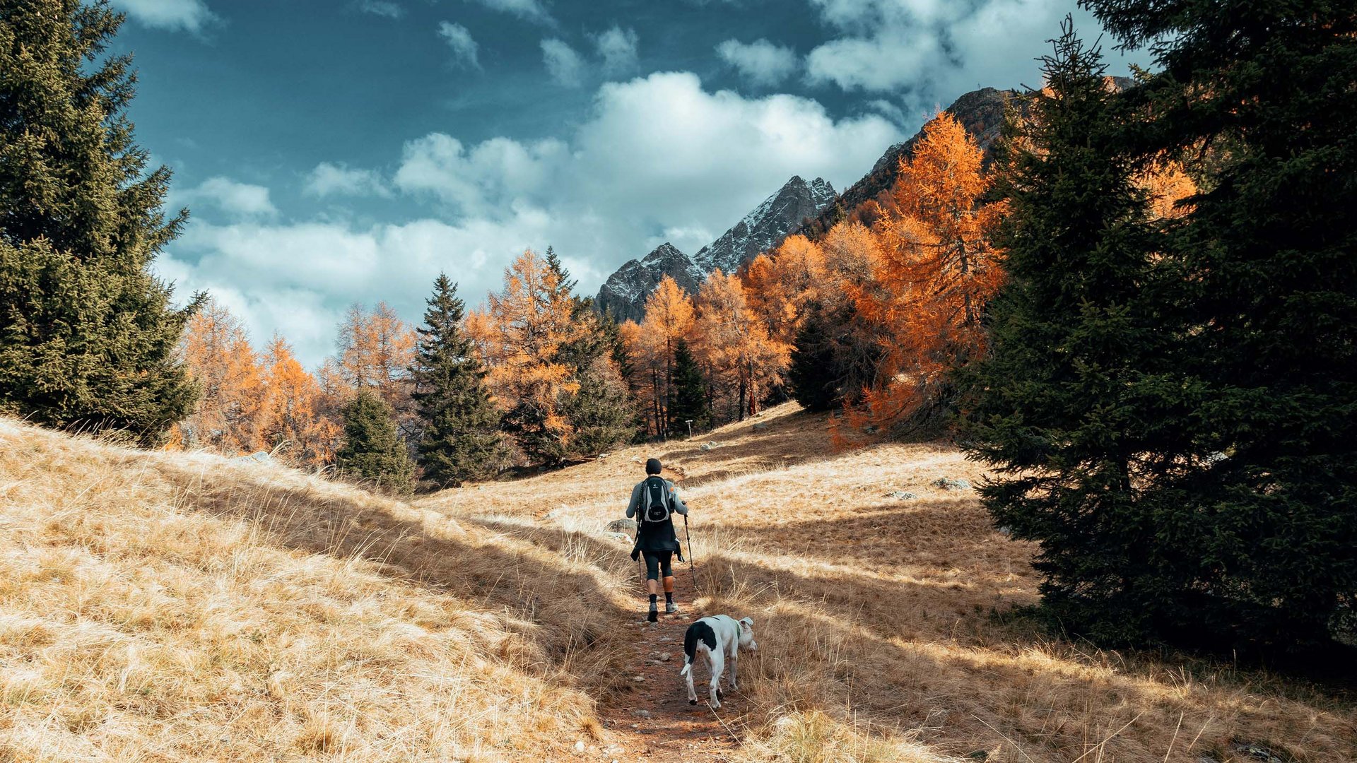 Erleben Sie den goldenen Herbst im Vinschgau!